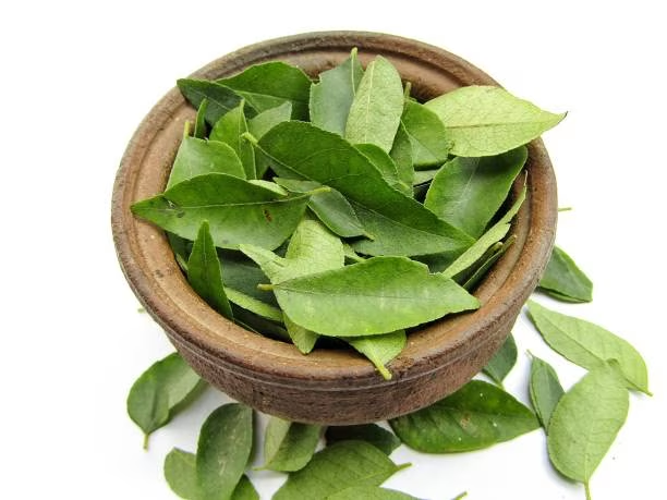 Curry leaves for hair fall