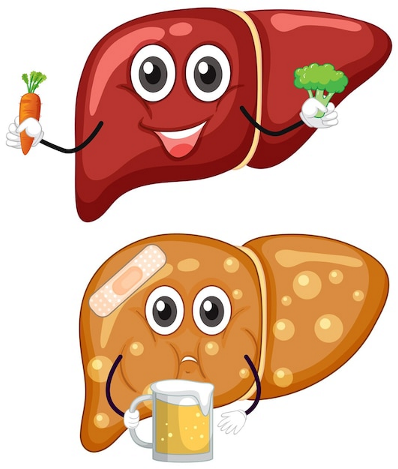 this image shows the health of a good and bad liver