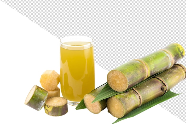 PSD sugar cane and leaf png